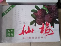 东魁杨梅-盒马鲜生(岭南新世界店)