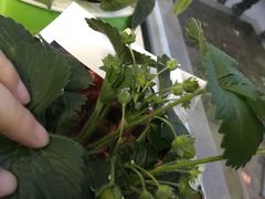 -北京植物园南门售票处