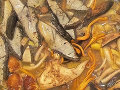 -草墩罗非鱼庄•野生菌•腊排骨(七星街上段店)