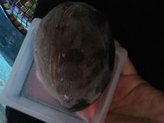 -满天星量贩式KTV(汉阳摩尔城店)