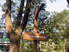 -上海共青森林公园