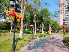 -映月湖公园