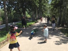 -北京麋鹿生态实验中心