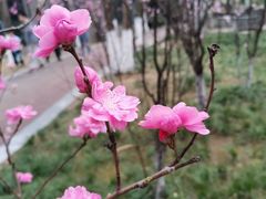 -塔子山公园