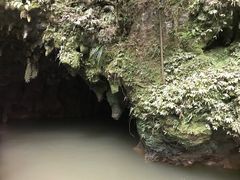 -怀托摩萤火虫洞