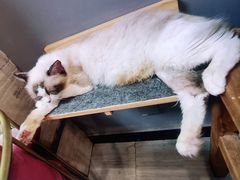 -世纪联华超市(外海店)