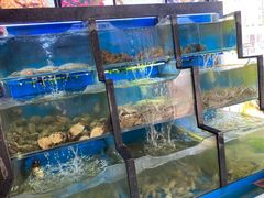 水产区-老东镇啤酒屋海鲜加工·蒸汽海鲜·海鲜烧烤(台东店)