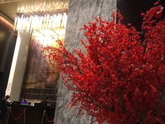 -上海新国际博览中心美仑酒店