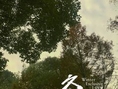 -重庆彩云湖湿地公园