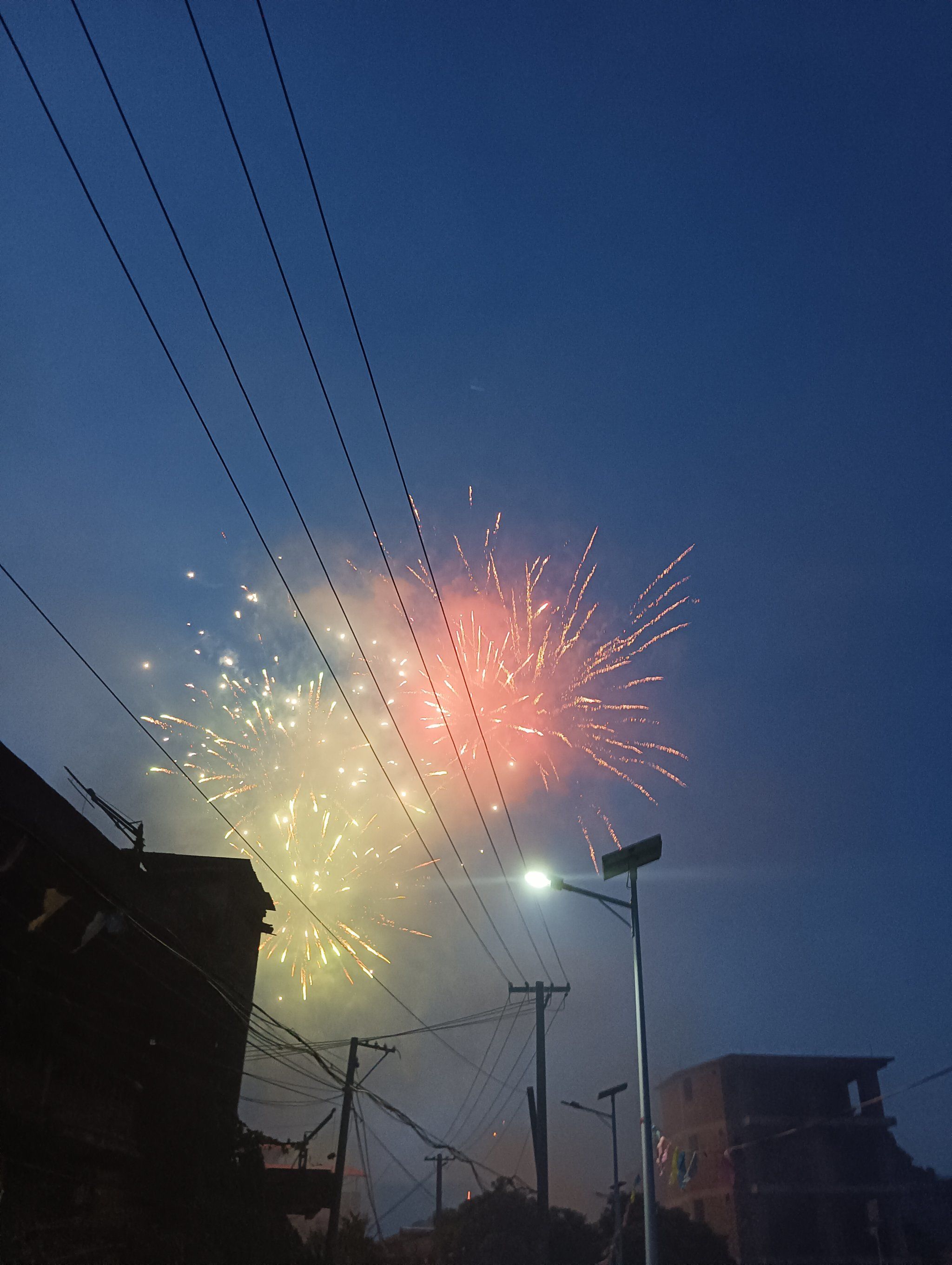 夜空中最耀眼的烟花·大学之花