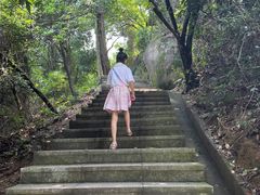 -火炉山森林公园