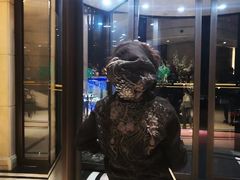 -上海安亭别墅花园酒店