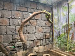 -正佳雨林生态植物园