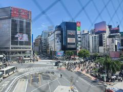 -涩谷全向十字路口