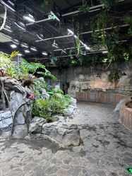 -Zoolung Zoolung动物主题公园(海信广场店)