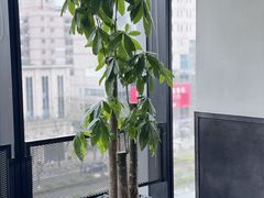 -杭儿风餐厅(嘉里中心店)