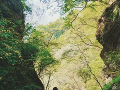 -太平万花山景区
