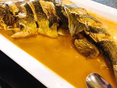 -浩运海鲜·16年专注青岛菜(石老人店)