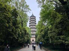 -灵谷景区