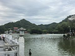 -珠海圆明新园