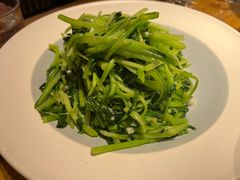 -鸽子窝(宋庄店)