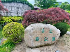 -嘉定紫藤园