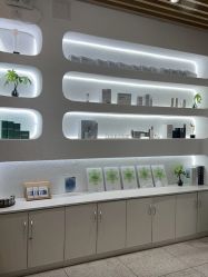 -薇薇安花系SPA