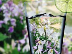 -苏家坨柳林村二月兰花海