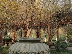 -龙头寺公园