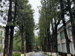 -西昌邛海宾馆