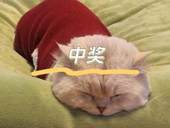 -耀江文鼎苑