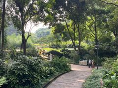 -成都市活水公园