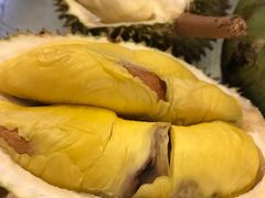 -都念榴莲·城市榴莲