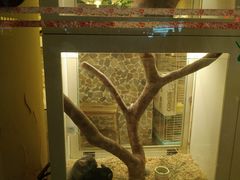 -龙猫仔乐园(惠福东路店)