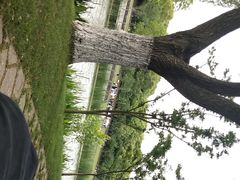 -昆山城市生态森林公园