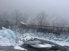 -青峰峡国家森林公园