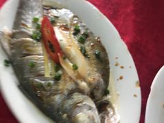 -蛇口康乐快餐鱼仔档(翠苑小区店)