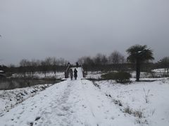 -南湖湿地公园