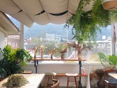 -唐咖精品咖啡(大理古城手冲店)