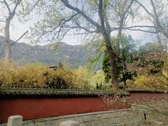 -青岛崂山太清宫