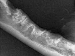 -惠康宠物医院(华能路店)