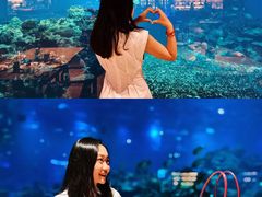 -海棠湾洲际-涛·海底餐厅·美人鱼·自助餐·海底隧道