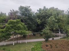 -成飞公园