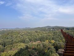 -富乐山