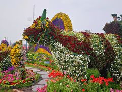 -荷兰花海