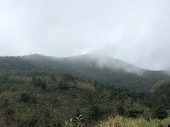 -广州市石门国家森林公园