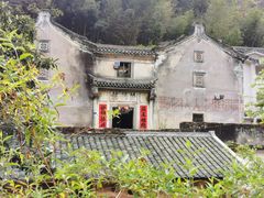 -雁南飞茶田景区