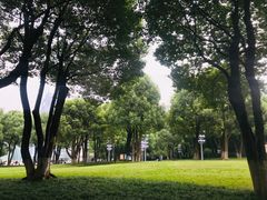 -重庆市江北嘴中央商务区中央公园