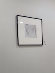-智美品质医美