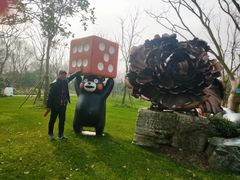 -上海海湾国家森林公园